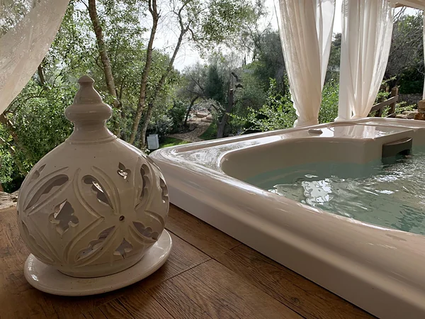 Jacuzzi e ulivi