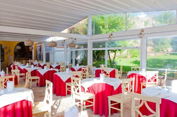 Una giornata di primavera in masseria - immagine 4